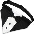 The Tuxedo Your Dog Can Wear Without Trying on a Single Sleeve