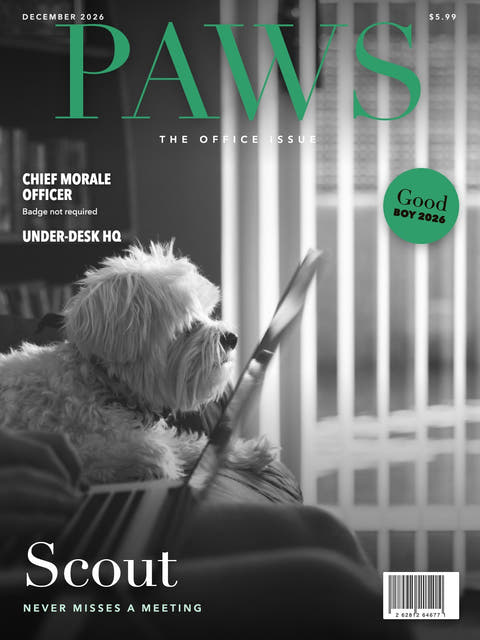 Magazine cover made from the photo of a small dog next to a laptop at a desk