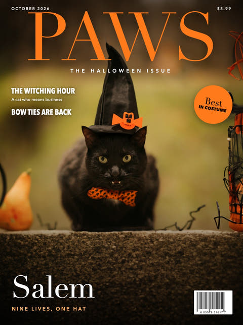 Magazine cover made from the photo of a black cat in a witch hat