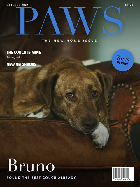 Magazine cover made from the photo of a brindle dog on a leather armchair