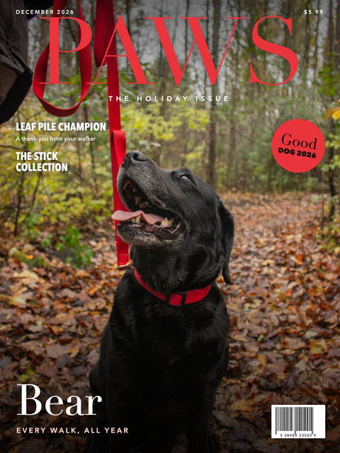 Magazine cover made from the photo of a black Labrador on a leash in the woods