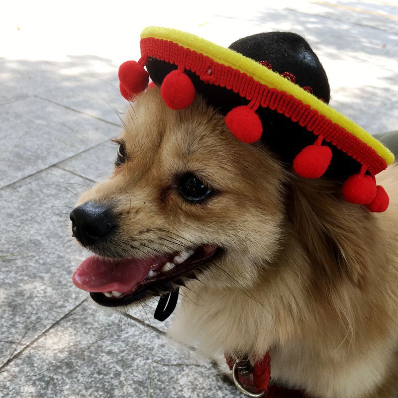 Hot Dog Costume Hat for Dogs