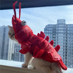 Lobster Costume for Dogs (view 7)
