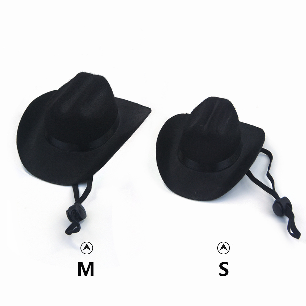 Small Cowboy Hat for Dogs (view 8)