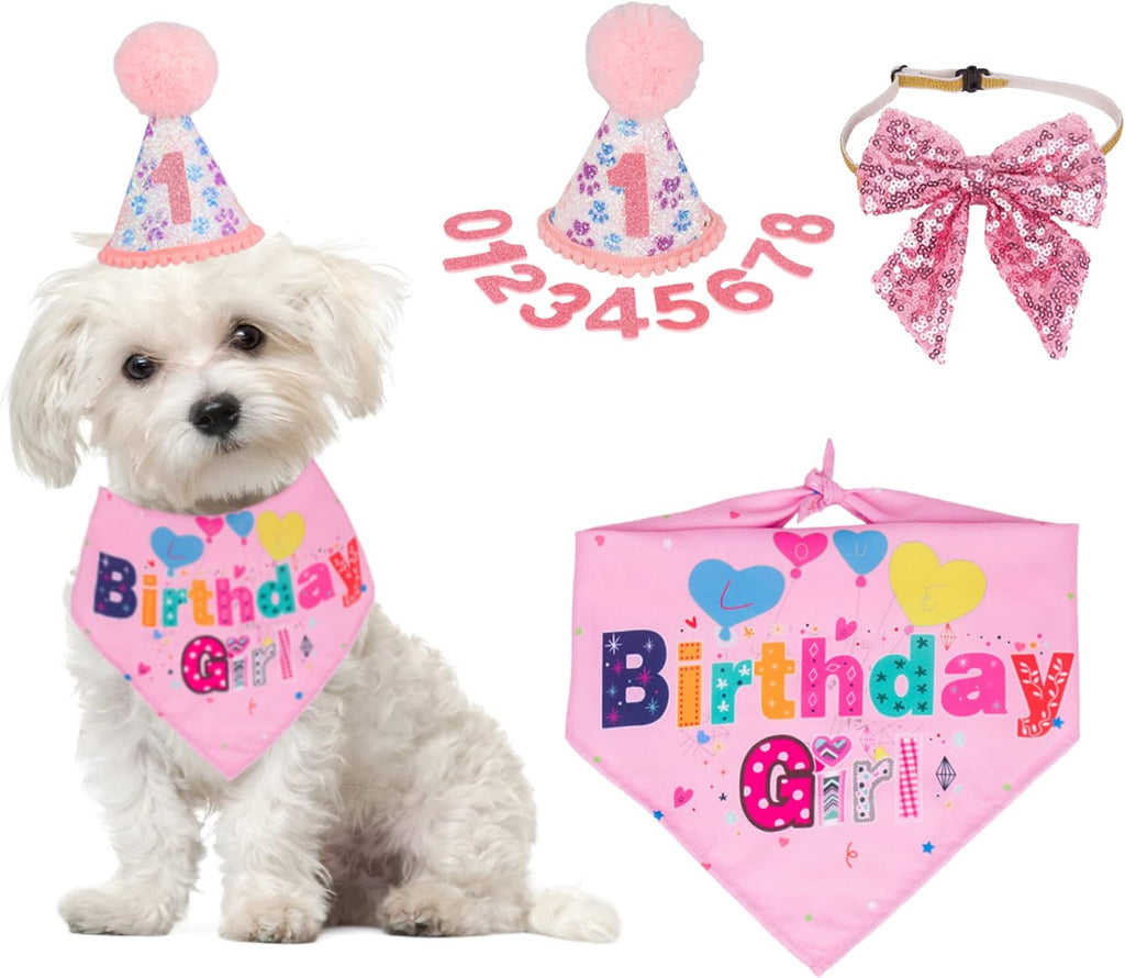 The Birthday Girl Kit That Makes the Whole Party About the Dog - dog product photo (view 3)