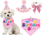 The Birthday Girl Kit That Makes the Whole Party About the Dog - dog product photo (view 3)