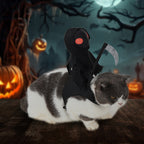 Hooded Rider Costume for Dogs