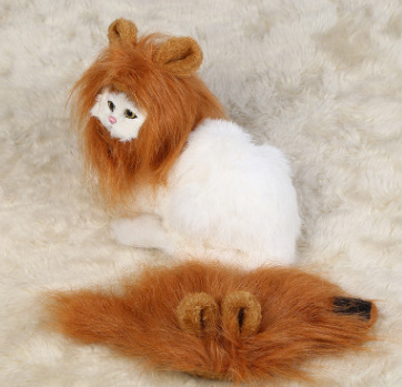 Lion Mane Hat for Dogs (view 7)