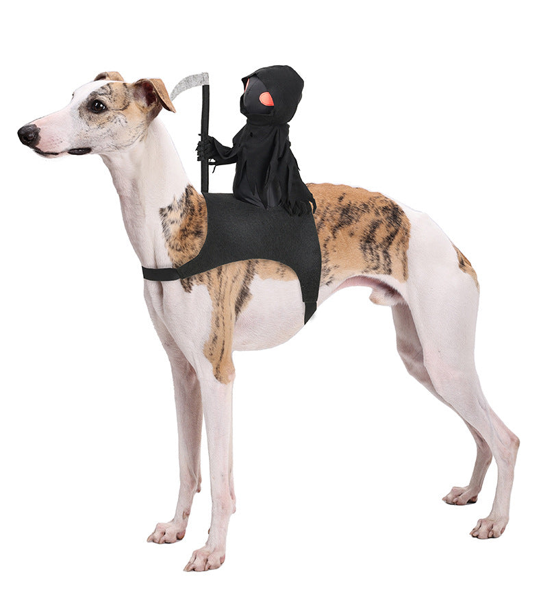 Hooded Rider Costume for Dogs (view 5)