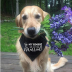 The Bandana That Lets Your Dog Announce the Engagement - dog product photo (view 6)