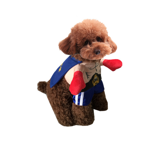 Boxer Costume for Dogs (view 5)