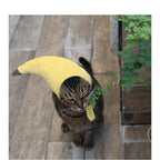 Banana Costume Hat for Dogs