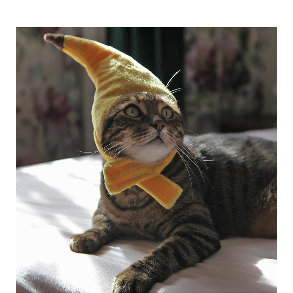 Banana Costume Hat for Dogs (view 5)