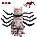 Spider Costume for Dogs (view 3)