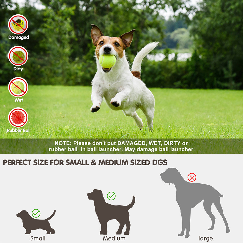 Automatic Dog Ball Launcher - dog product photo (view 7)