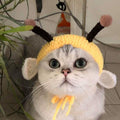 Bee Headgear Hat for Dogs