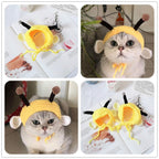 Bee Headgear Hat for Dogs (view 4)
