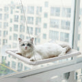 Suction Cup Window Cat Hammock - cat product photo