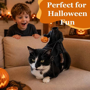 Headless Horseman Cat Costume