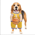 Basketball Costume with Ball for Dogs (view 3)