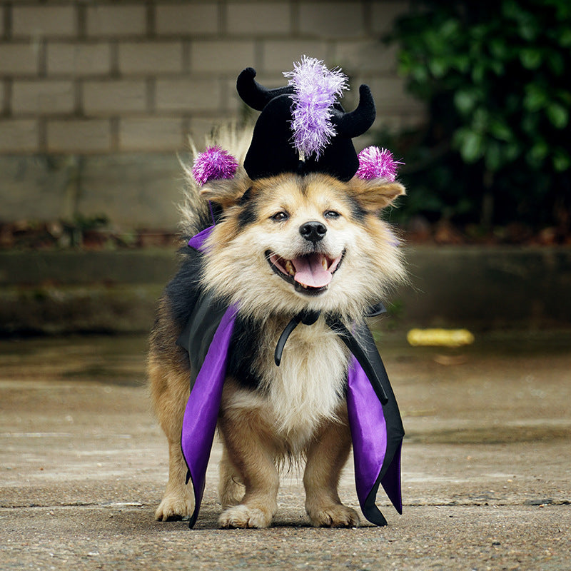 Bat Cloak Costume for Dogs