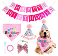 The Birthday Girl Kit That Makes the Whole Party About the Dog - dog product photo