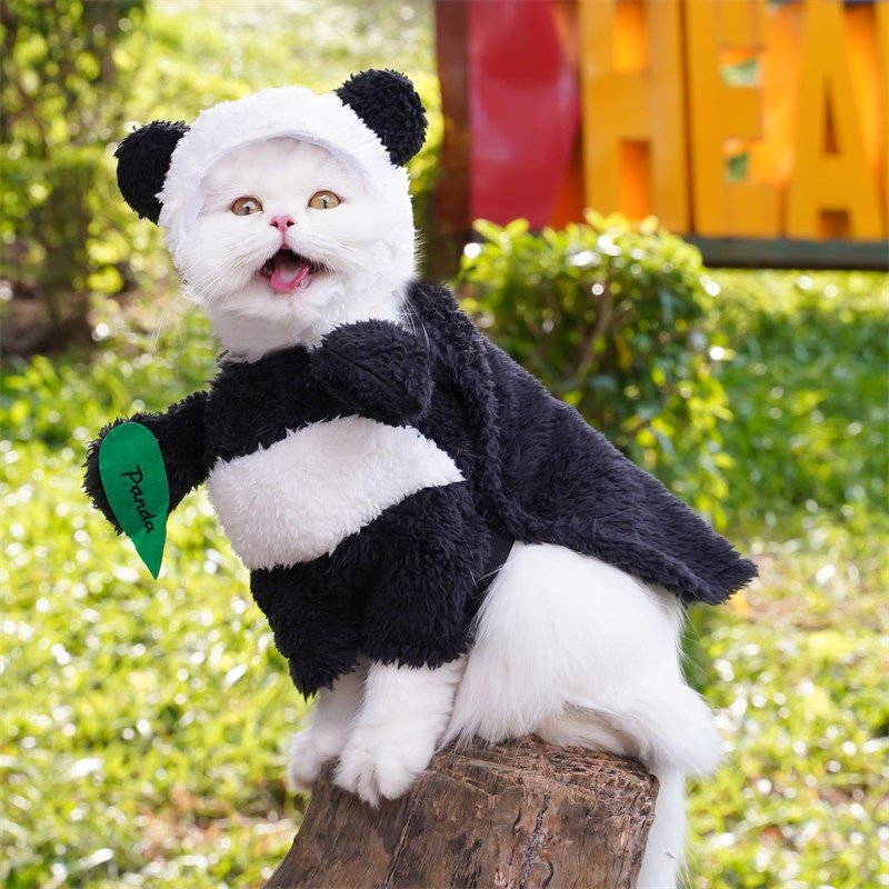 Panda Transformation Costume for Dogs (view 2)