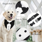 The Tuxedo Your Dog Can Wear Without Trying on a Single Sleeve - dog product photo (view 4)