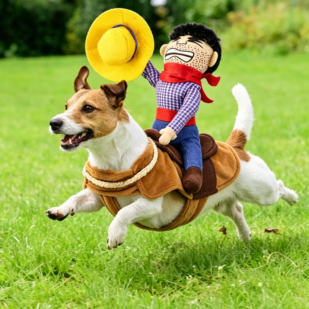 Cowboy Rider Costume for Dogs (view 7)