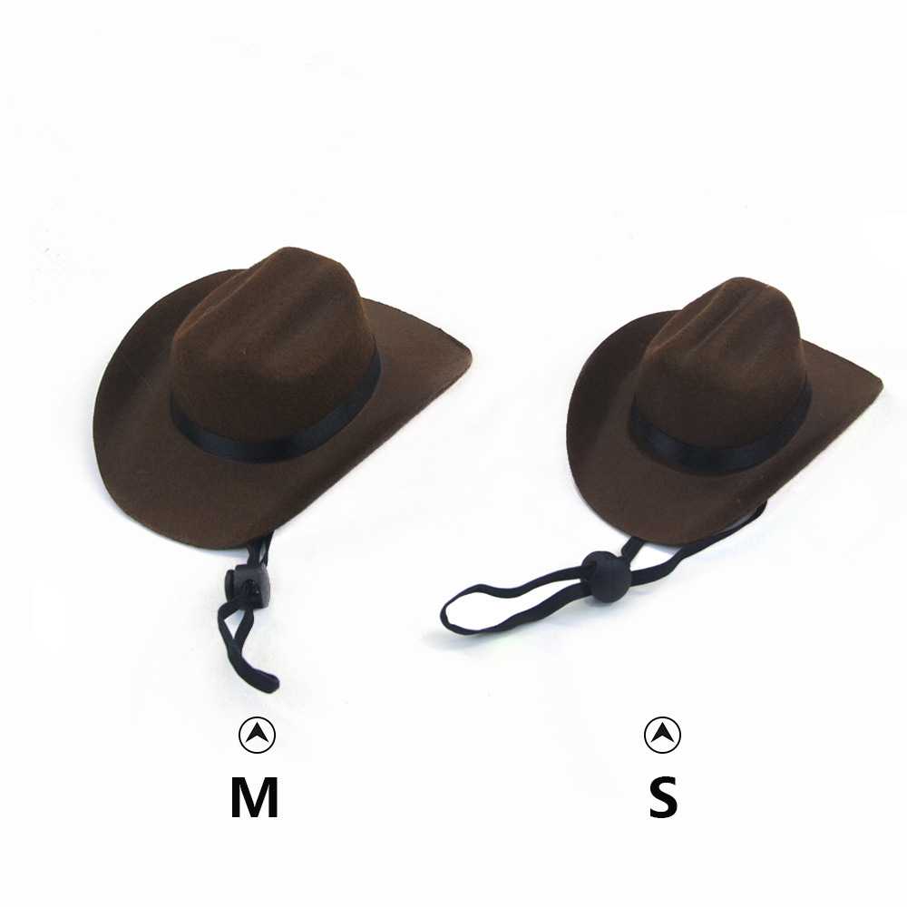 Small Cowboy Hat for Dogs (view 9)