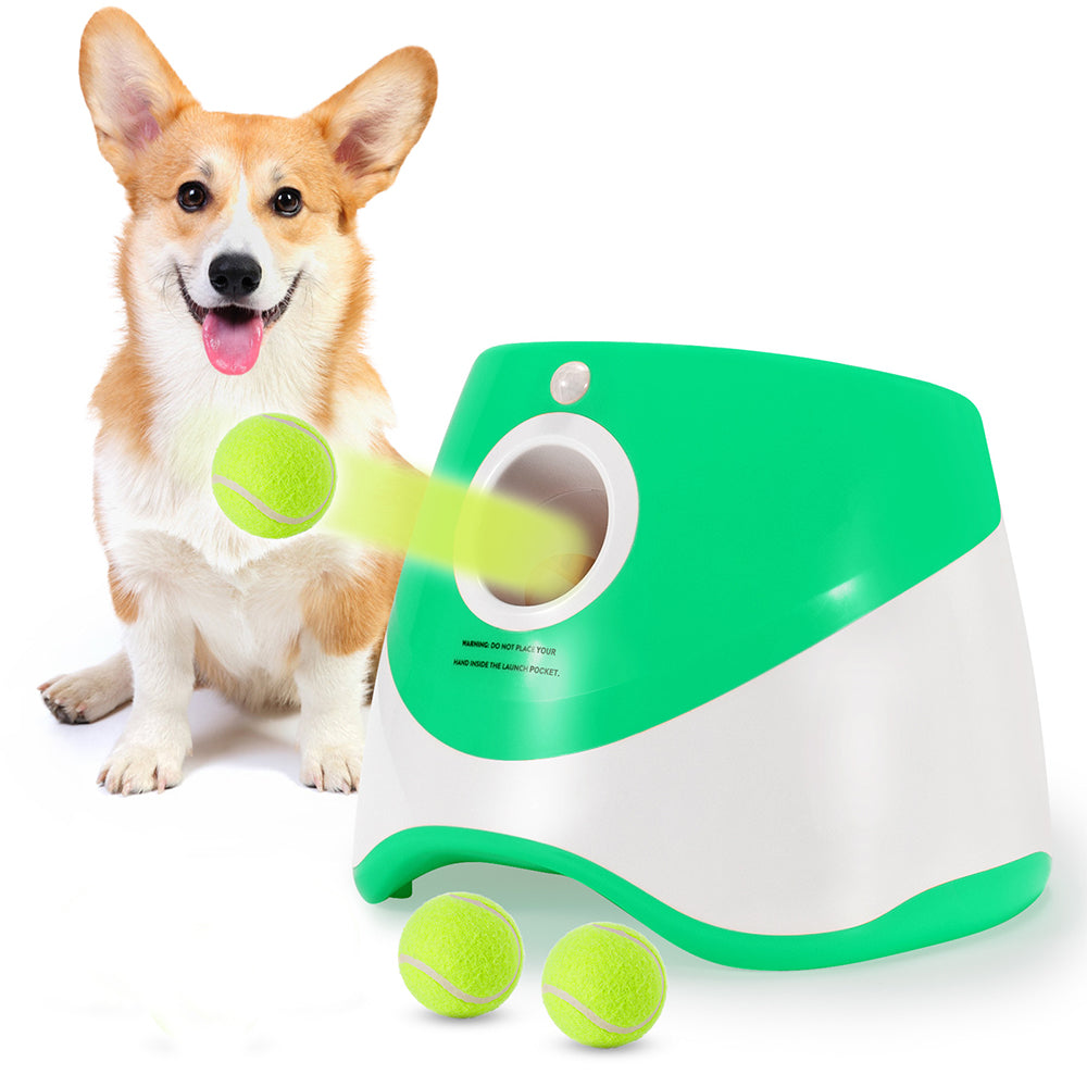 Automatic Dog Ball Launcher - dog product photo