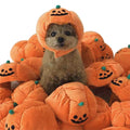 The Pumpkin Hat That Makes Your Pet the Jack-o'-Lantern