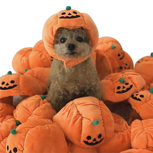 The Pumpkin Hat That Makes Your Pet the Jack-o'-Lantern