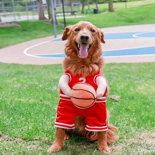 Basketball Costume with Ball for Dogs