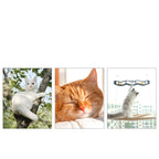 Suction Cup Window Cat Hammock - cat product photo (view 3)