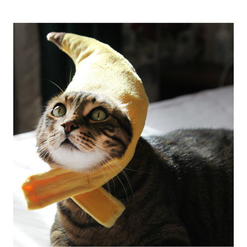 Banana Costume Hat for Dogs (view 2)