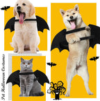 Bat Skeleton Costume for Dogs (view 7)
