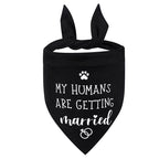The Bandana That Lets Your Dog Announce the Engagement - dog product photo