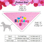 The Birthday Girl Kit That Makes the Whole Party About the Dog - dog product photo (view 6)