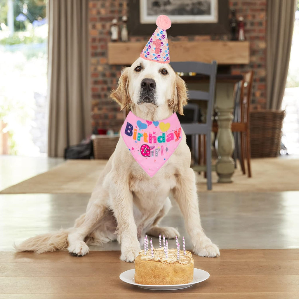 The Birthday Girl Kit That Makes the Whole Party About the Dog - dog product photo (view 10)