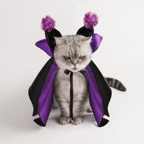 Bat Cloak Costume for Dogs (view 2)