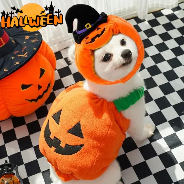 Pumpkin Harness Vest for Dogs