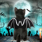 Bat Skeleton Costume for Dogs (view 4)
