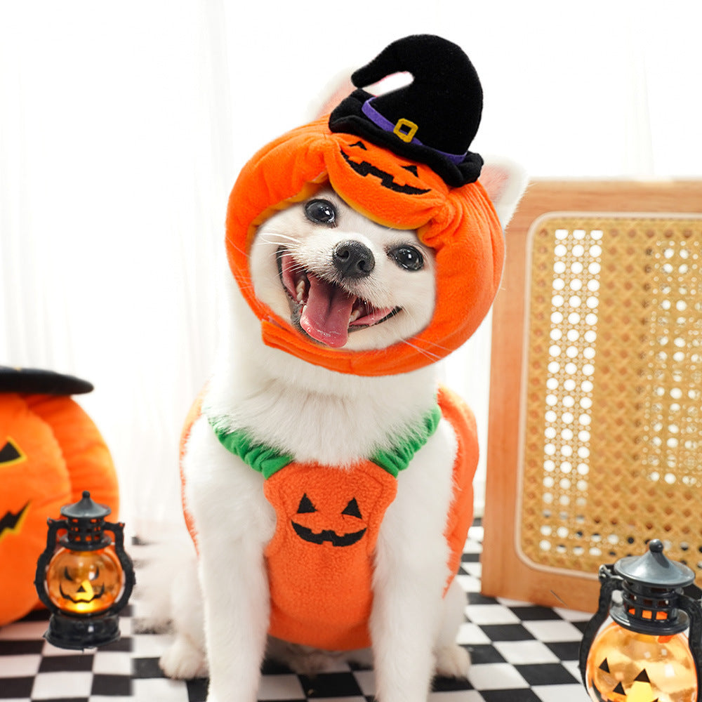 Pumpkin Harness Vest for Dogs (view 3)