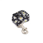 Engraved Dog Collar and Leash - dog product photo (view 4)