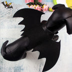 Pet Bat Wings Halloween Costume for Cats & Small Dogs (view 4)