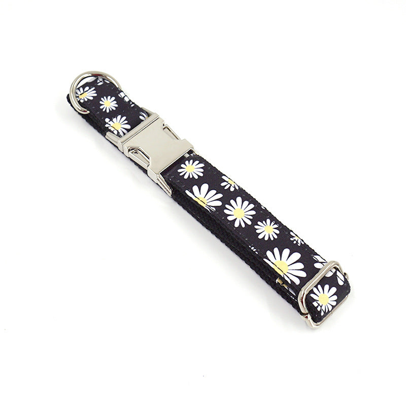 Engraved Dog Collar and Leash - dog product photo (view 5)