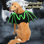 Bat Skeleton Costume for Dogs (view 6)