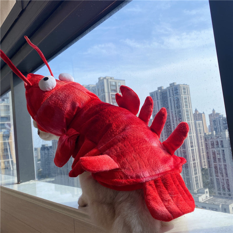 Lobster Costume for Dogs (view 5)