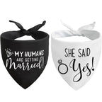 The Bandana That Lets Your Dog Announce the Engagement - dog product photo (view 7)